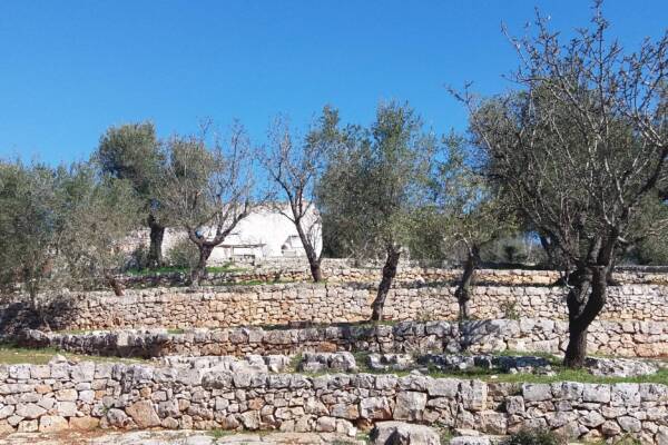 LAMIA AVEC TRULLO EN PIERRE