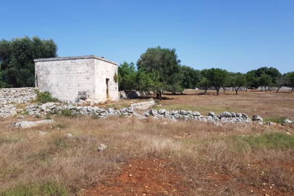 PICCOLA ANTICA LAMIA IN PIETRA – OSTUNI PUGLIA