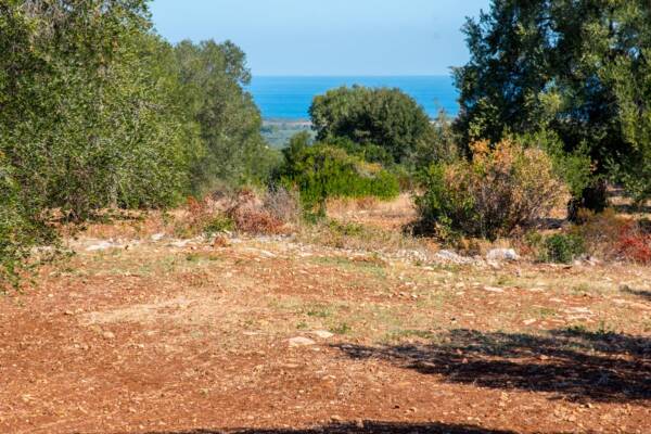 LAND WITH SEA VIEW | in Carovigno
