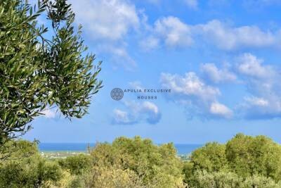 LAND WITH TRULLO AND VIEW ON THE SEA | in Carovigno