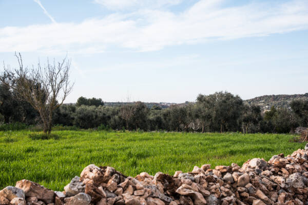 LAND WITH PANORAMIC VIEW WITH PROJECT | Ostuni