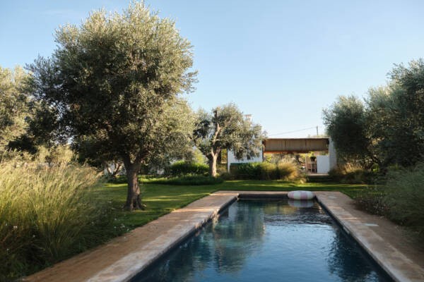 NINNITRULLI in Ostuni