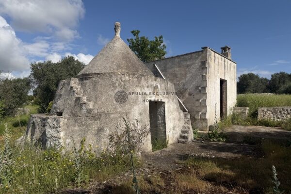 APPROVED PROJECT Villa with Trulli and Swimming Pool in Carovigno