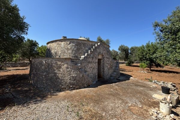 TRULLO WITH OLIVE GROVE in Carovigno