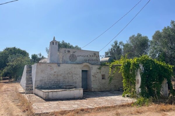 TRULLO WITH OLIVE GROVE in San vito dei Normanni